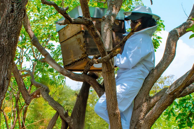 Youth & Women Empowermenta